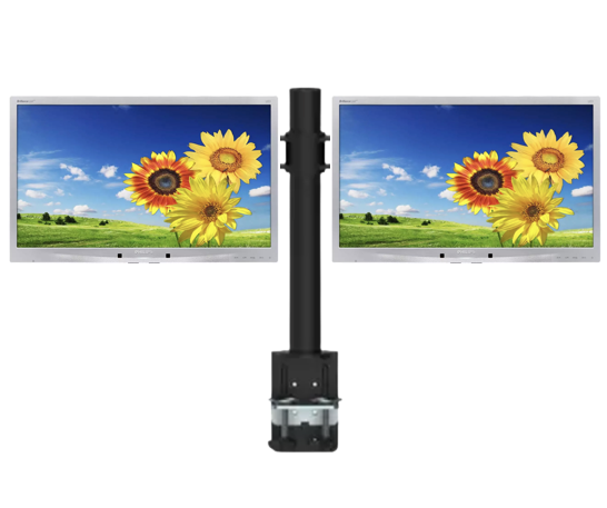 PHILIPS MONITOR x2 220P4LP 22 '' WIDESCREEN LCD RFB (DUAL-BASE) - 2YW